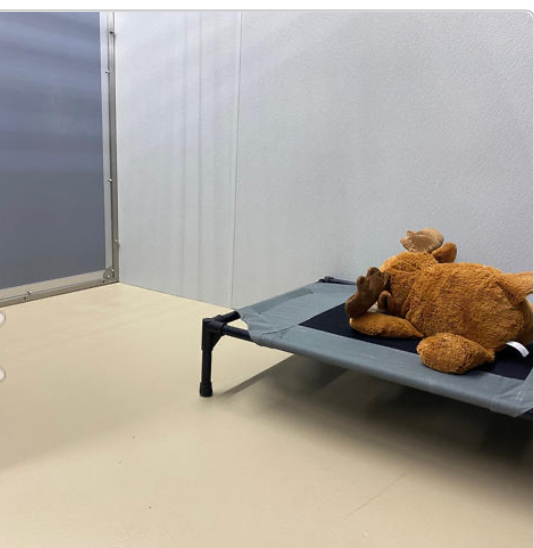 Furplus City boarding suite with raised cot