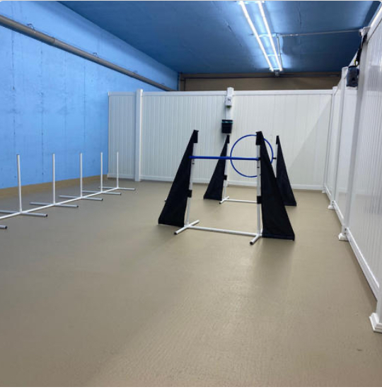 Furplus City indoor dog playroom